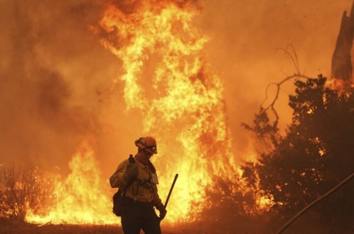 STRAVIČAN POŽAR GUTAO 170 OBJEKATA! Ima i mrtvih1