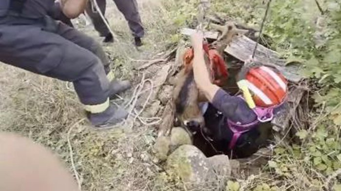 Vatrogasci u Velikom Gradištu primetili NEŠTO ČUDNO u bunaru, a onda je počela AKCIJA: Ubrzo je iz mraka izašao ON