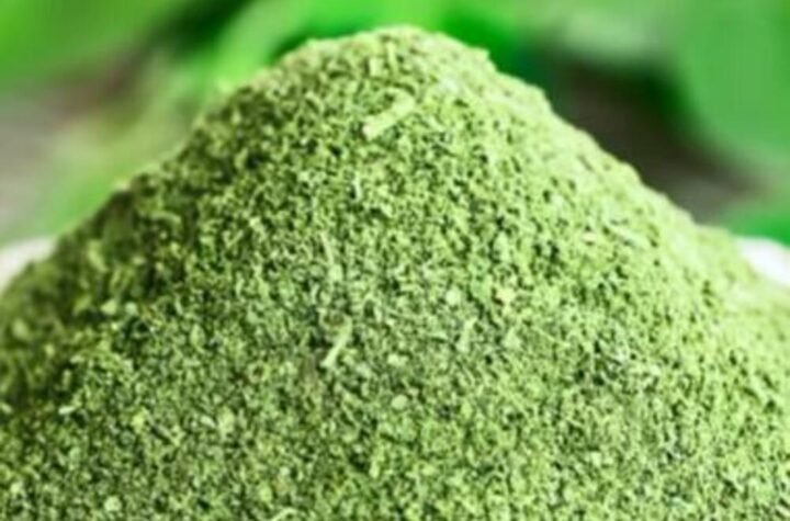 Biljka koju zovu prirodni antibiotik, ima više kalcijuma nego mleko: Malo ljudi za nju zna, a pravo je BLAGO