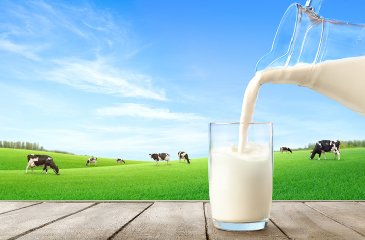 DRŽAVA ĆE ZAŠTITITI POLJOPRIVREDNIKE! Ministarstvo upozorilo otkupljivače mleka  - Stočari neće plaćati igre cenama!