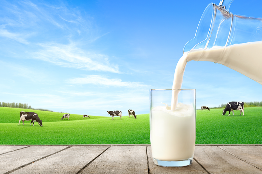 DRŽAVA ĆE ZAŠTITITI POLJOPRIVREDNIKE! Ministarstvo upozorilo otkupljivače mleka  - Stočari neće plaćati igre cenama!