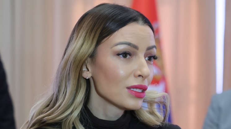 GODINA PUNA IZAZOVA I POKUŠAJA DA SE SRUŠI DRŽAVA Ministarka Mesarović: Zahvalnost zaposlenima u Ministarstvu privrede na trudu i posvećenosti VELIKI