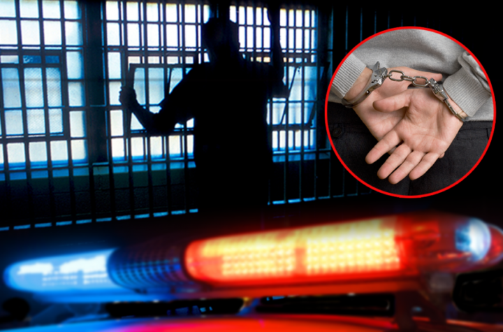 PAJSER, LANAC, LEPTIR NOŽ: Naoružani muškarci NASILNO UPALI U KUĆU, pa primorali muža da bonsekom iseče supruzi kosu