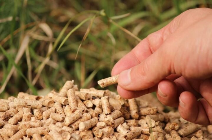 Prodavci u Srbiji upozoravaju na nestašicu peleta: Evo da li ga ima dovoljno i kako se sada kreće cena