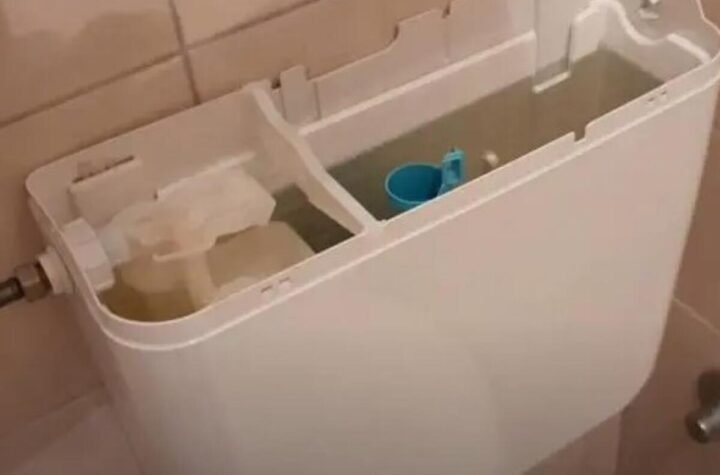 Proverena četiri načina koja će očas posla očistiti vodokotlić: Jedan nikome nikada ne padne na pamet