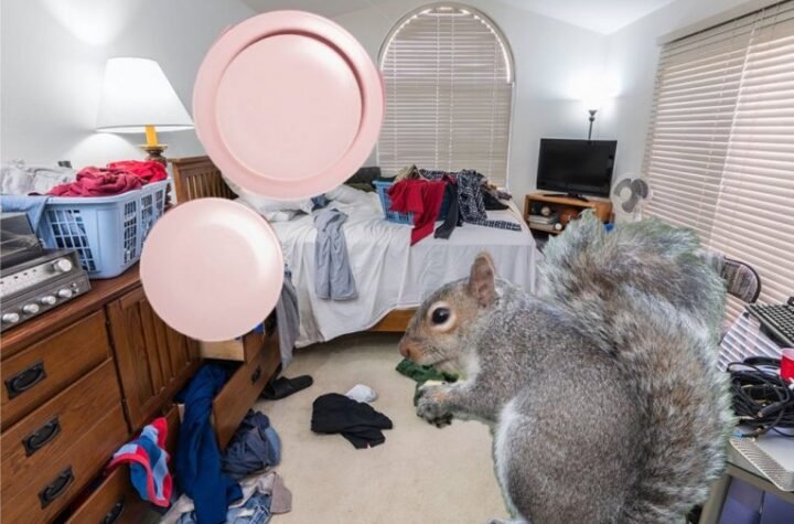 RADIOAKTIVNI TANJIRI I VEVERICE U PINK SOBAMA! Šokantna ispovest stanodavaca u Srbiji o stanarima iz pakla koji su im UNIŠTILI ŽIVCE I NEKRETNINE!