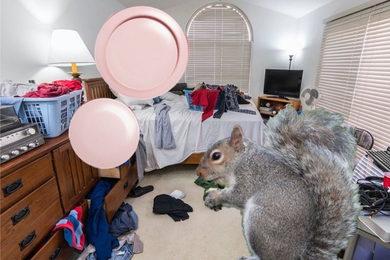 RADIOAKTIVNI TANJIRI I VEVERICE U PINK SOBAMA! Šokantna ispovest stanodavaca u Srbiji o stanarima iz pakla koji su im UNIŠTILI ŽIVCE I NEKRETNINE!