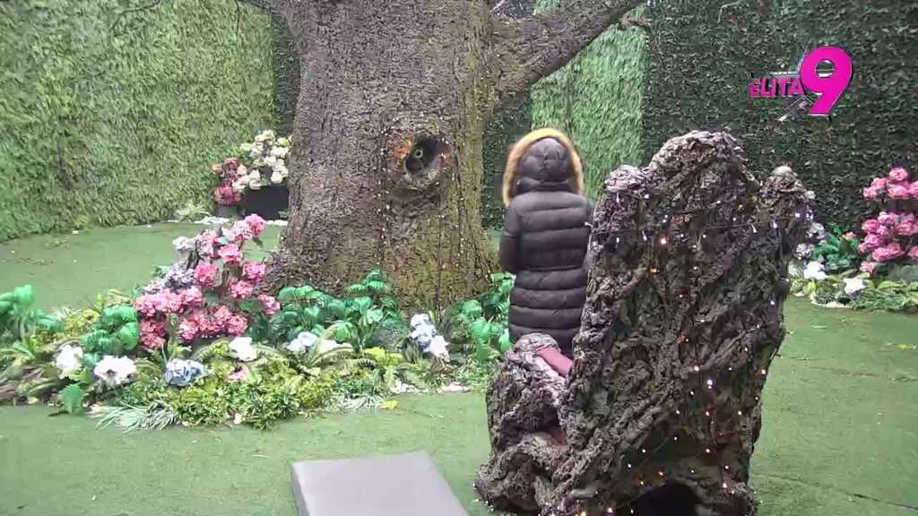 Svi na Pink: Aneli stigla u Rajski vrt