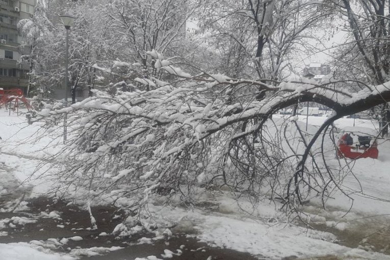 1.500 DOMAĆINSTAVA BEZ STRUJE! Sneg je paralisao ove delove Srbije - ljudi evakuisani, a tek se očekuje SNEŽNI TALAS!