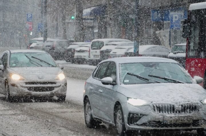 AMSS: Na graničnim prelazima nema zadržavanja vozila