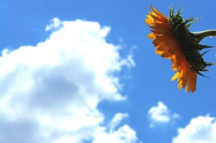 Bog ne zaboravlja dobrotu: Ova 3 znaka konačno se oslobađaju svih briga i ulaze u najlepši period života