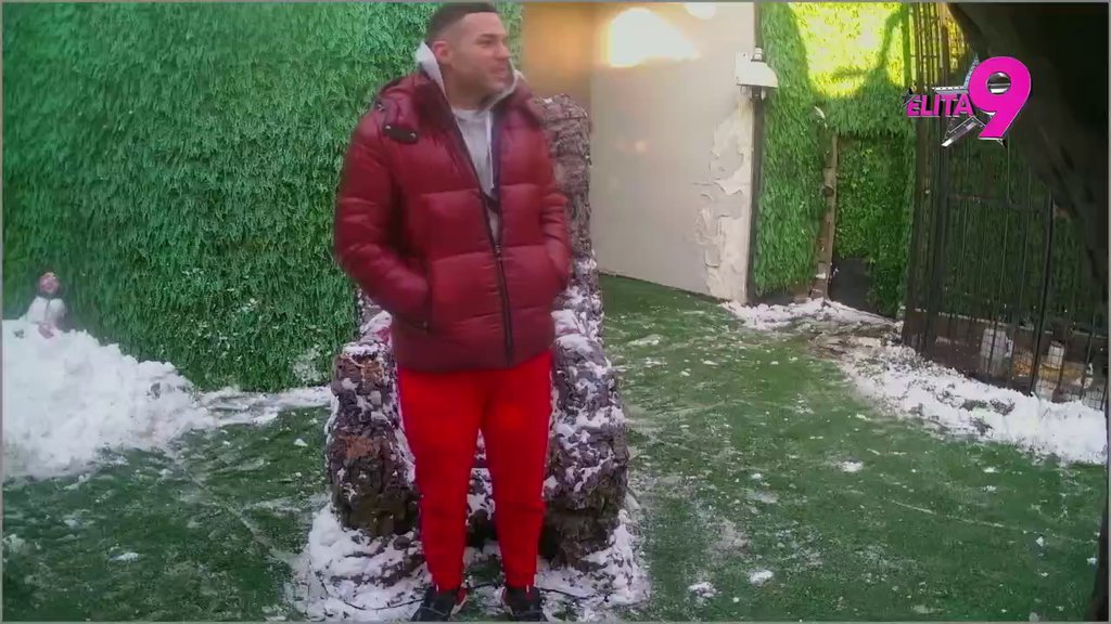 DOŠAO RED I NA NJEGA! Anđelo Ranković upravo došao kod Drveta, DA LI ĆE PRIZNATI ŠTA IMA SA ANELI?