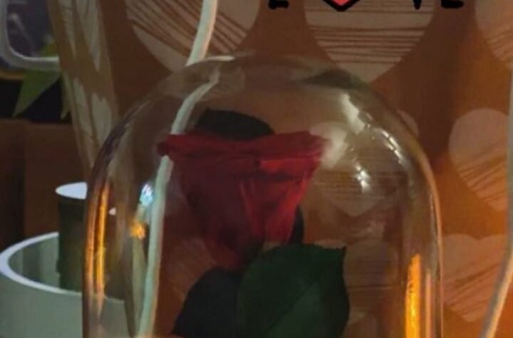 EVO ŠTA SE DEŠAVA U DOMU TRUDNE DEE ĐURĐEVIĆ! Detalje o ocu svoje bebe NE MOŽE VIŠE DA KRIJE, FOTOGRAFIJOM OTKRILA PREVIŠE! (FOTO)