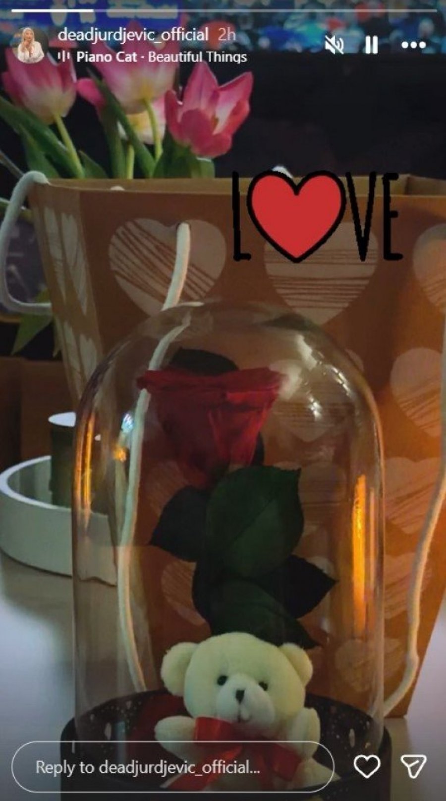 EVO ŠTA SE DEŠAVA U DOMU TRUDNE DEE ĐURĐEVIĆ! Detalje o ocu svoje bebe NE MOŽE VIŠE DA KRIJE, FOTOGRAFIJOM OTKRILA PREVIŠE! (FOTO)