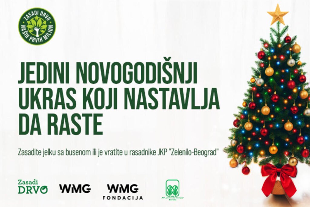 JEDINI NOVOGODIŠNJI UKRAS KOJI NASTAVLJA DA RASTE