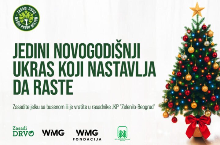 JEDINI NOVOGODIŠNJI UKRAS KOJI NASTAVLJA DA RASTE