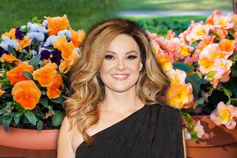 NOVO OGLAŠAVANJE SLAVICE ĆUKTERAŠ NAKON DEMOLIRANJA SAKSIJA! U sve je umešano i maloletno dete! JEZIVO!