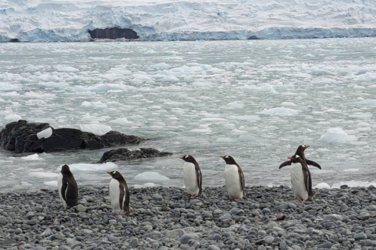 Naučnik Aleksandar duže od mesec dana je na istraživačkom brodu na Antarktiku - nestvarni prizori oduzimaju dah (FOTO)
