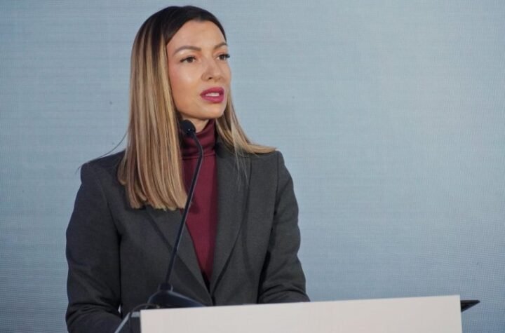 PATOLOŠKA MRŽNJA PREMA VUČIĆU JE MRŽNJA PREMA SVEMU ŠTO JE SRPSKO: Mesarovićeva oštro osudila napad na predsednika Srbije!