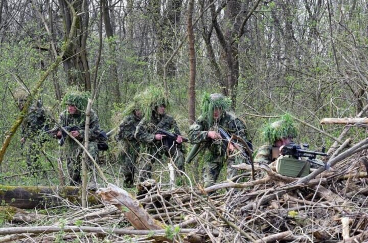 "RADO SRBIN IDE U VOJNIKE"! Evo ko će prvi morati u Vojsku već od marta, obavezan rok pred vratima, nema izuzetaka