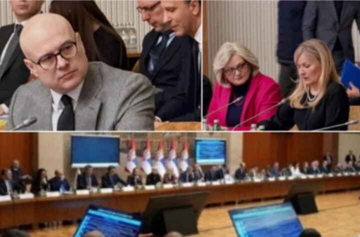 U IZAZOVNIM GEOPOLITIČKIM VREMENIMA SRBIJA NASTAVLJA DA SE RAZVIJA Vučević: Mir i bolji život svih građana su apsolutni prioritet