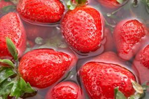 U TOPOLI SE BERU JAGODE DOK ZIMA STEŽE OSTALE DELOVE SRBIJE! Gordanai sad ima sočne plodove koje kupci razgrabe!