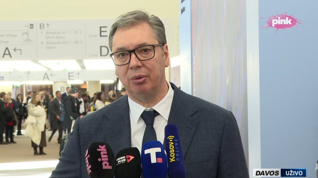 Vučić o Piculi i evroparlamentarcima: Sramota je da im smeta izložba o Jasenovcu