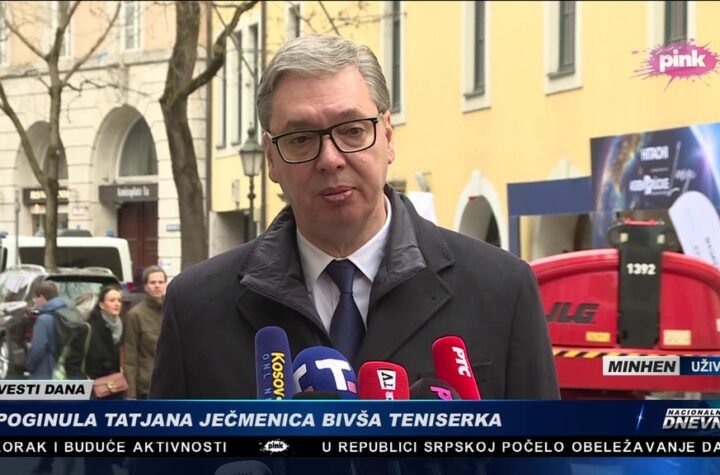 'TO SU TEŠKI BOLESNICI' Vučić o napadima na sina Danila: Nema taj sedam ari, a ne 700 hektara