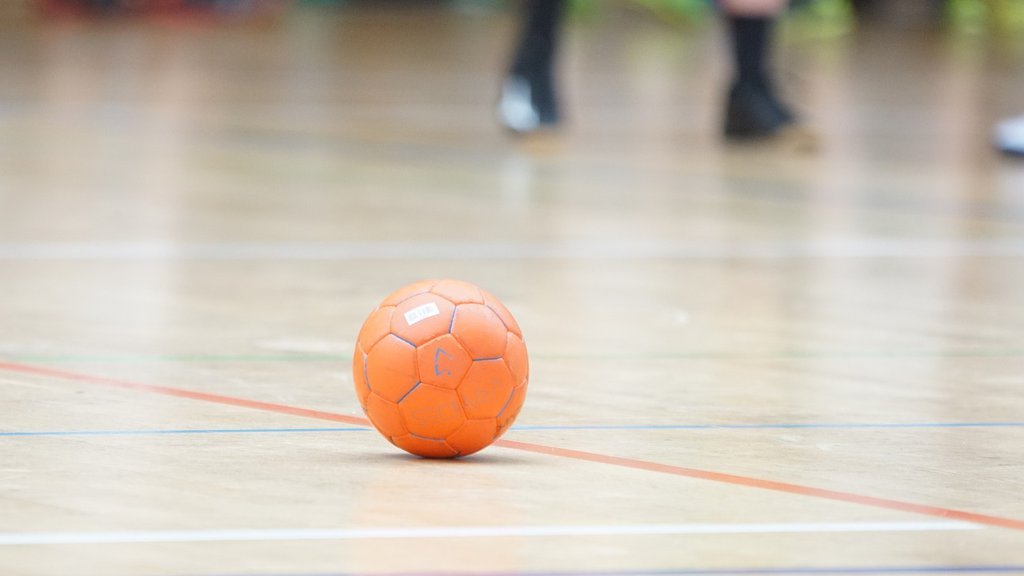 Bruka: Rukometaši Hrvatske pevali skandaloznu Tompsonovu pesmu protiv Srba