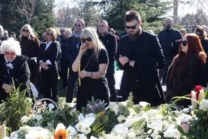 Saša Popović, pomen