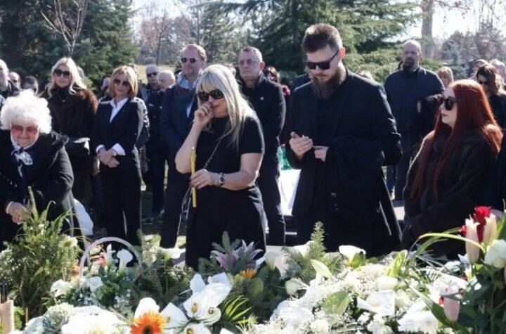 Saša Popović, pomen