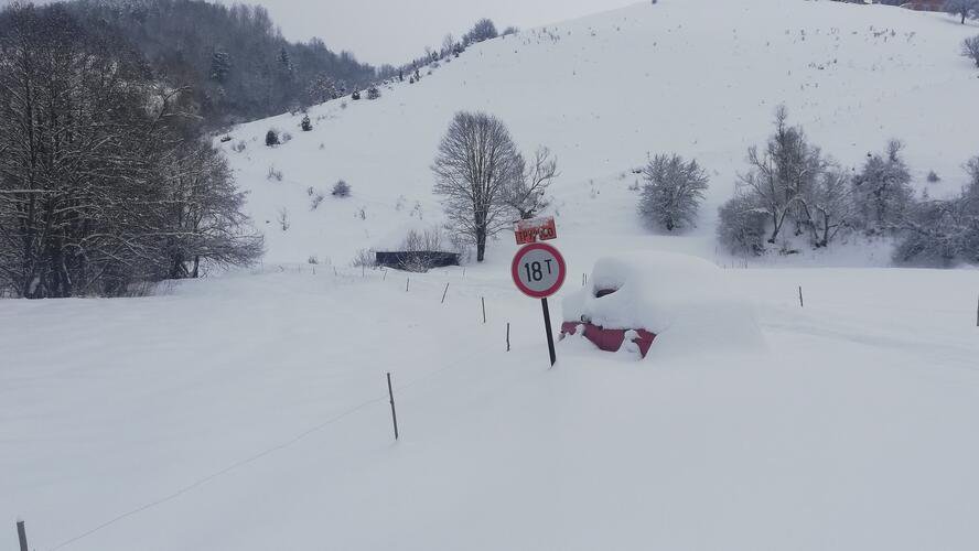 DRAMATIČNE SCENE SPASAVANJA NA TARI I ZLATIBORU! Ništa bez srpskog domaćina! Gorštak sa dva upregnuta vranca izvlači automobile zaglavljene u snegu (V