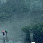 Danas slavimo praznik vina i vinogradara: Šta znači ako pada kiša na Svetog Trifuna