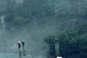 Danas slavimo praznik vina i vinogradara: Šta znači ako pada kiša na Svetog Trifuna