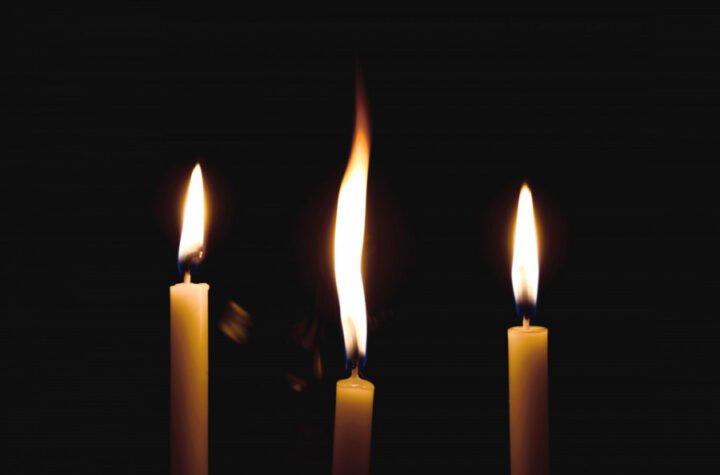 HOROR: Svirepo ubijen čuveni Van Dajk!