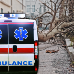 HOROR U SUBOTICI! Ogromno stablo palo na muškarca kod Lifke! Čovek nepomično ležao, građani se borili da ga izvuku! (FOTO)