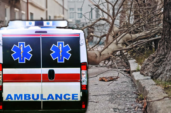 HOROR U SUBOTICI! Ogromno stablo palo na muškarca kod Lifke! Čovek nepomično ležao, građani se borili da ga izvuku! (FOTO)