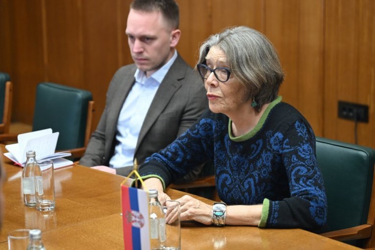 KRUCIJALNI RAZGOVORI: Predsednica Narodne skupštine sastala se sa ambasadorkom Kraljevine Danske u Srbiji! (FOTO)