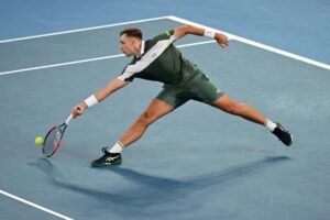 Katastrofa Hamada Međedovića!