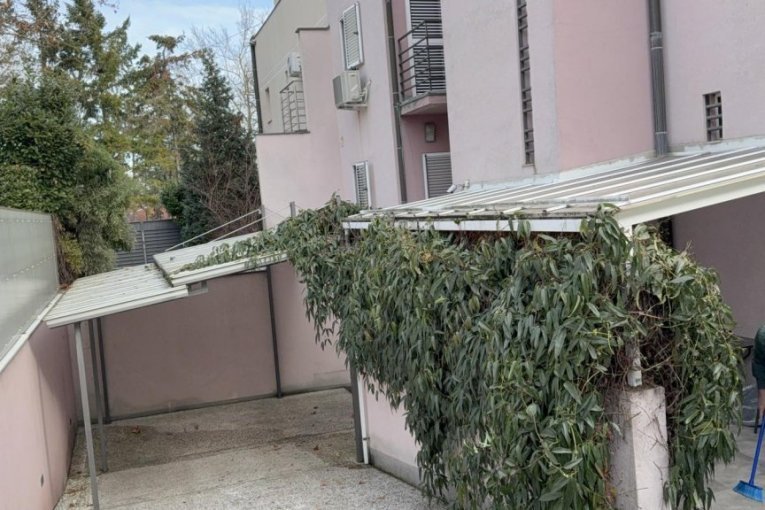 NA DEDINJU RASKOŠNA VILA, A PORODIČNA KUĆA IZGLEDA OVAKO! Evo zašto se o Čolinom poreklu malo zna!