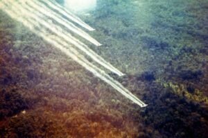 NOVI ŠOK ZA SVET, OGLASIO SE VIJETNAM!