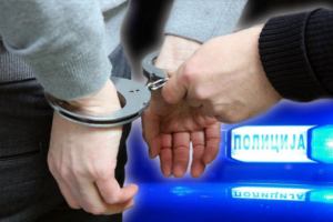 OBIJALI FRIŽIDERE, PLJAČKALI PRODAVNICE I NAPRAVILI MILIONSKU ŠTETU! Uhapšeni serijski lopovi u Nišu!