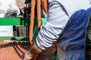 PAO SVETSKI REKORD U TURIJI! Napravljena kobasica od neverovatna DVA KILOMETRA: Nestala za manje od sat vremena! (FOTO)