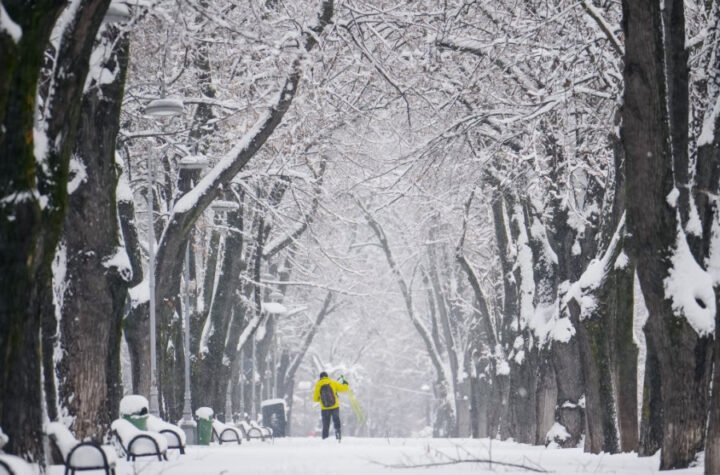 PRAVI ZIMSKI DAN! Spremite jakne i kišobrane, čeka nas sneg, vetar i kiša - OVO JE DANAŠNJA PROGNOZA!