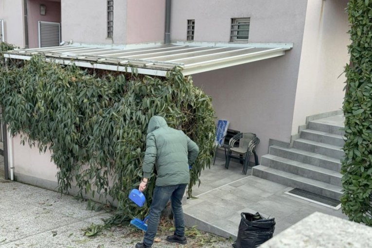 PRVO OGLAŠAVANJE ĆERKE ZDRAVKA ČOLIĆA NAKON BOMBAŠKOG NAPADA! Unina objava UZDRMALA JAVNOST! (FOTO)