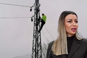 SNEŽNI PAKAO OKOVAO SRBIJU! Sela odsečena, hiljade ljudi bez struje! Ministarka Mesarović sa terena poručuje: NE STAJEMO DOK SVAKA KUĆA NE DOBIJE SVETLO!