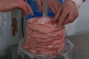 SRBI SE DAVE U ŠKARTU, NISU SVESNI ŠTA JEDU Pazite šta nam RADE SA MESOM: "Nije ni čudo što se DECA RAZBOLJEVAJU"