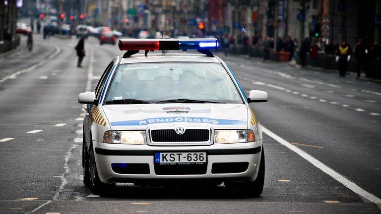 SRBIN UHAPŠEN NA MAĐARSKOJ GRANICI Policija zaplenila kamionet vredan više od 18.000 evra