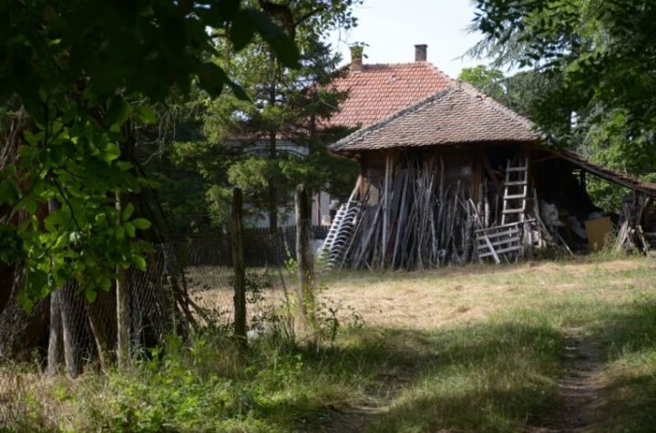 TRI KUĆE I PLAC ZA SVEGA 15.000 EVRA! Retka ponuda na srpskom tržištu nekretnina - POSTOJI I MOGUĆNOST KOREKCIJE CENE!