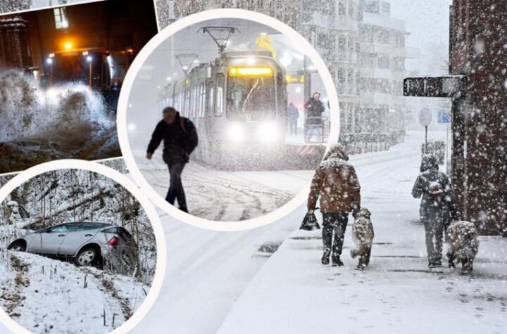 VREMENSKI HAOS ZA VIKEND: Sneg u jednom delu Srbije, magla i olujni vetrovi, kiša u noćnim satima!